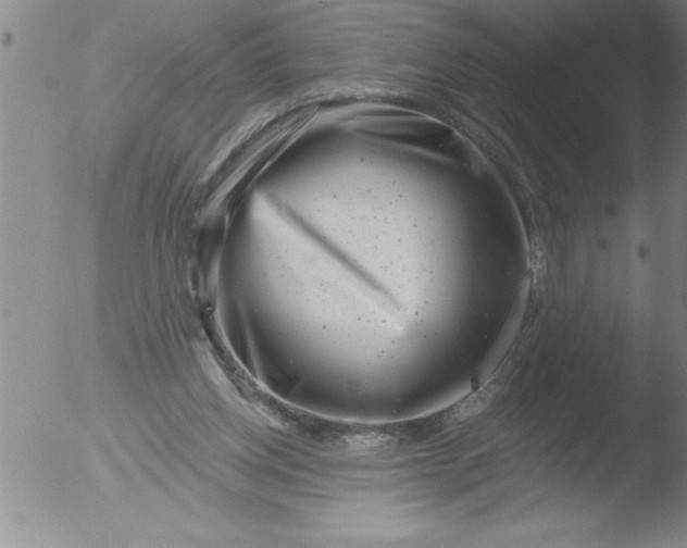 X0000051860158200507081831