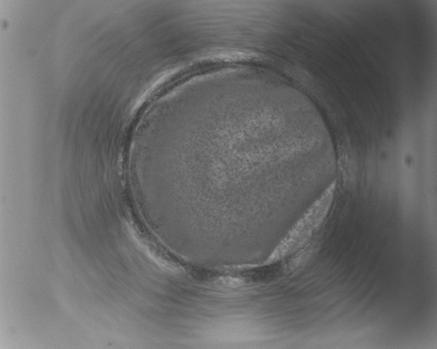 X0000051860159200507081831