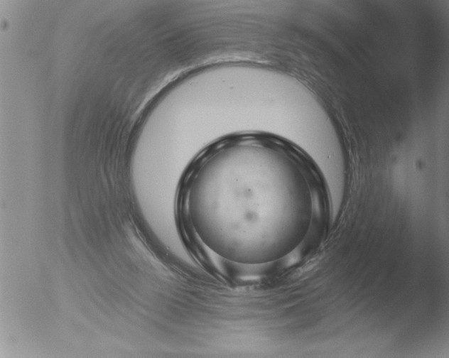 X0000051860160200507081831