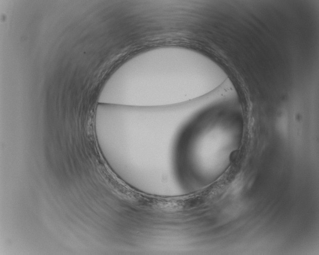 X0000051860161200507081831