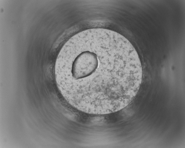 X0000051860162200507081831