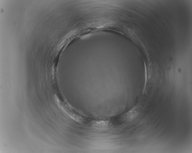 X0000051860163200507081831