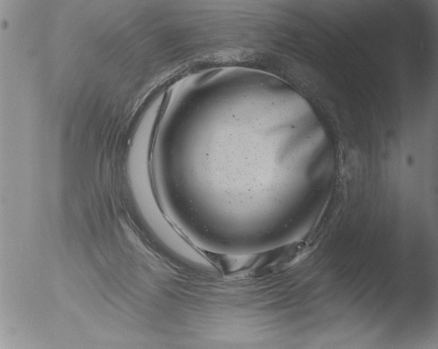 X0000051860164200507081831