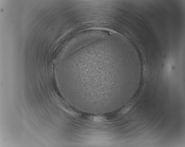 X0000051860165200507081831