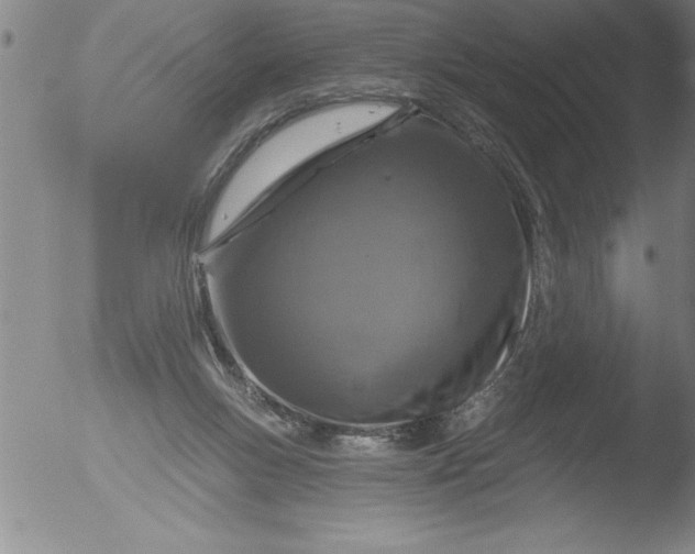 X0000051860167200507081831