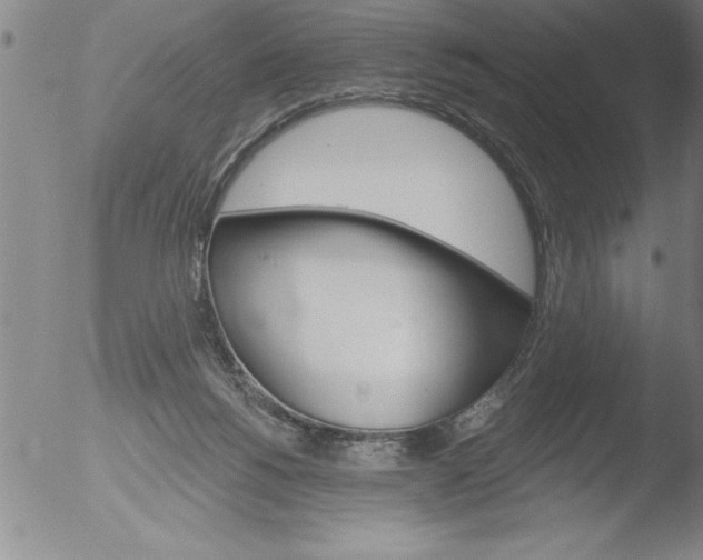 X0000051860168200507081832