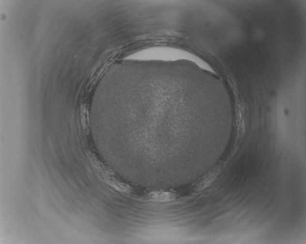 X0000051860169200507081832