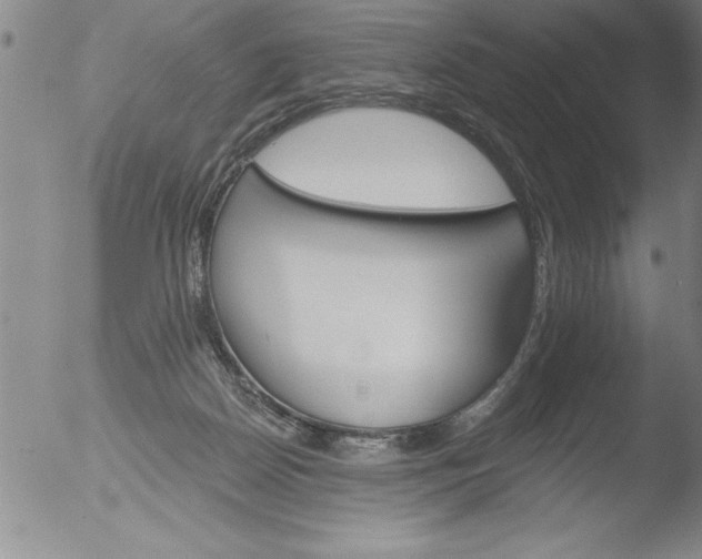 X0000051860170200507081832