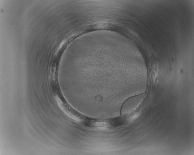 X0000051860171200507081832