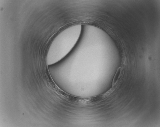 X0000051860172200507081832