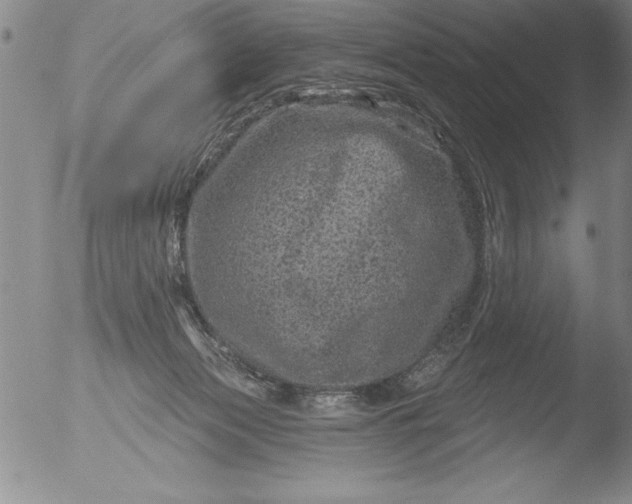 X0000051860173200507081832