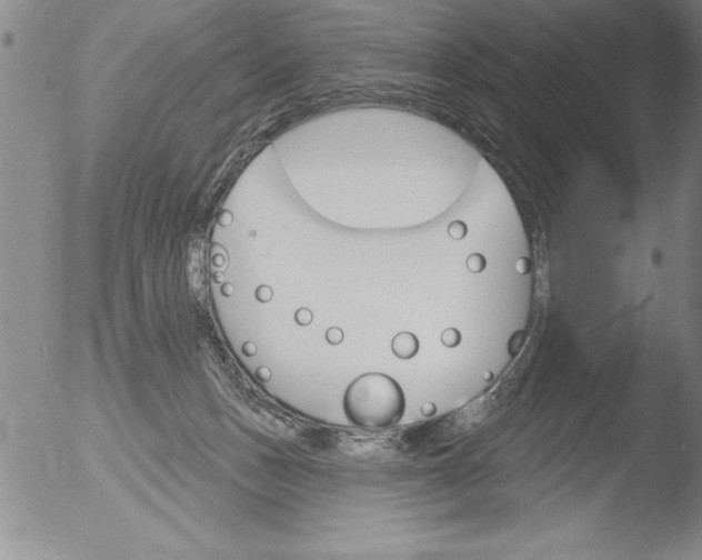 X0000051860175200507081832