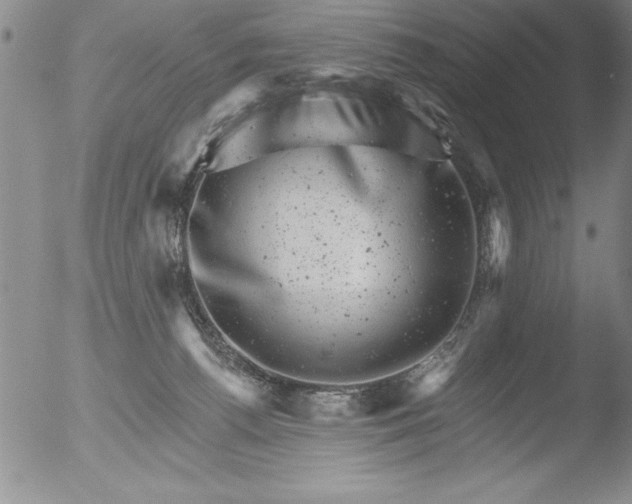 X0000051860176200507081832