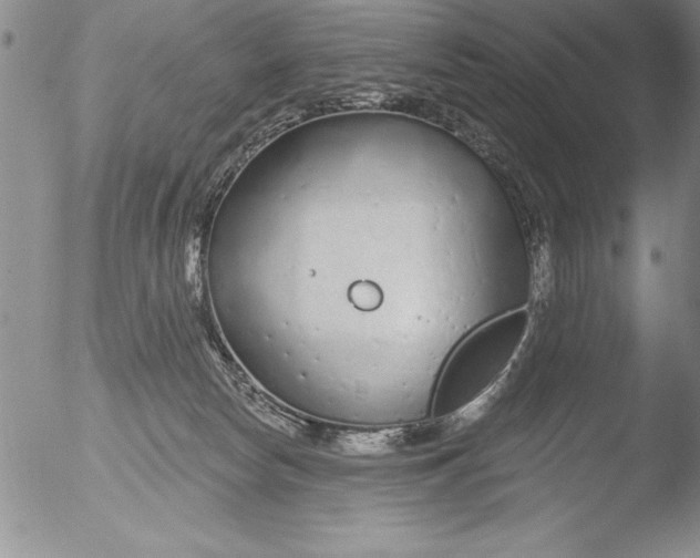 X0000051860178200507081832