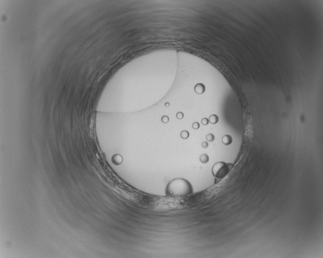 X0000051860179200507081832