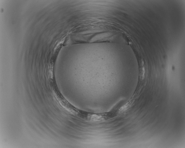 X0000051860180200507081832