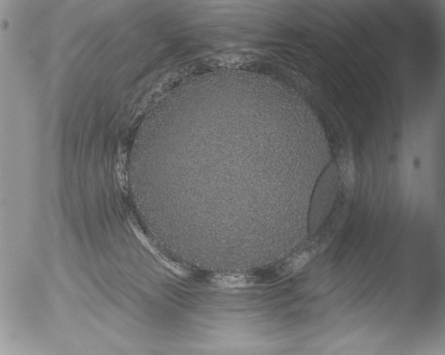 X0000051860181200507081832