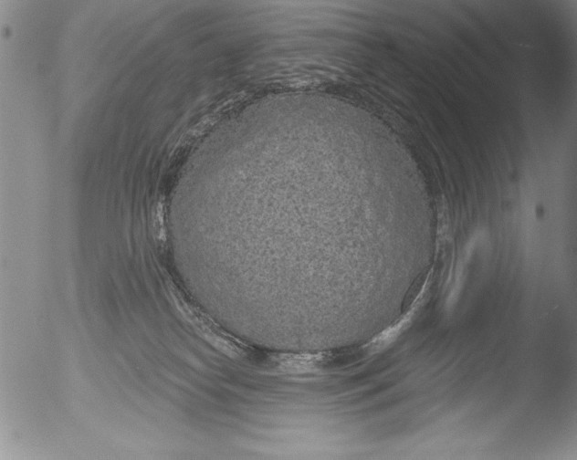 X0000051860182200507081832