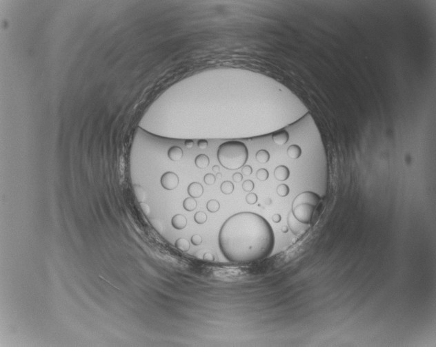 X0000051860183200507081832