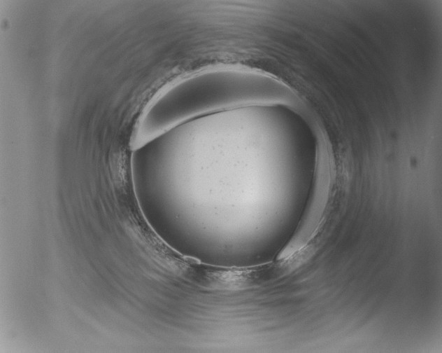 X0000051860184200507081832