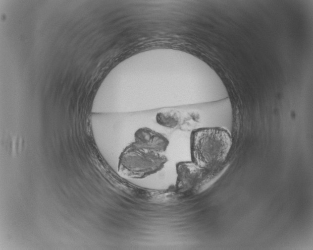 X0000051860185200507081832