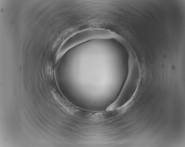 X0000051860186200507081832