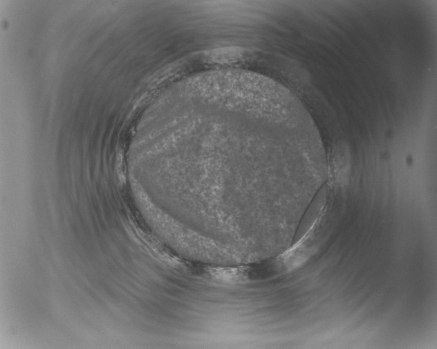 X0000051860187200507081832