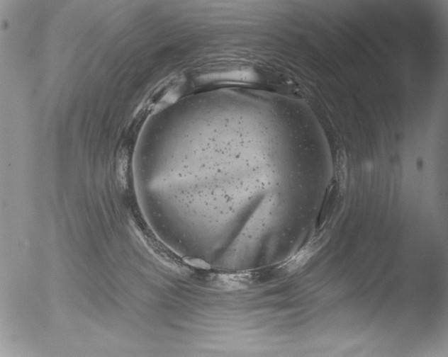 X0000051860188200507081832