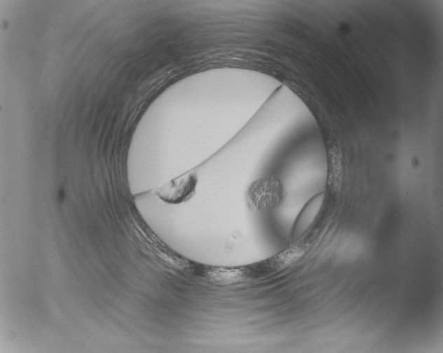 X0000051860189200507081832