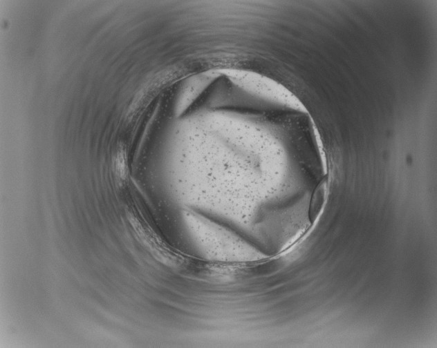 X0000051860190200507081832