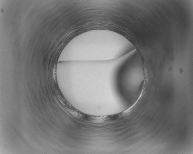 X0000051860191200507081832