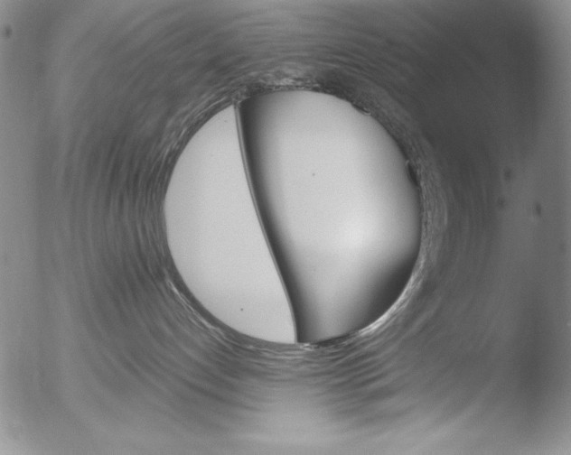 X0000051860192200507081832