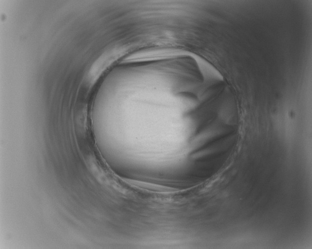 X0000051860194200507081831