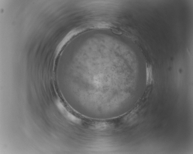 X0000051860195200507081831