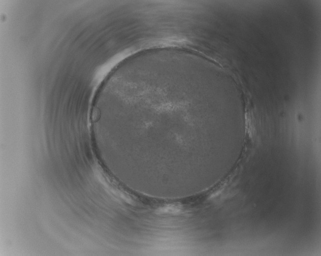 X0000051860196200507081831