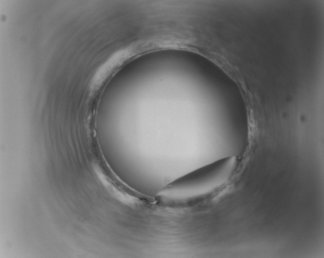 X0000051860197200507081831