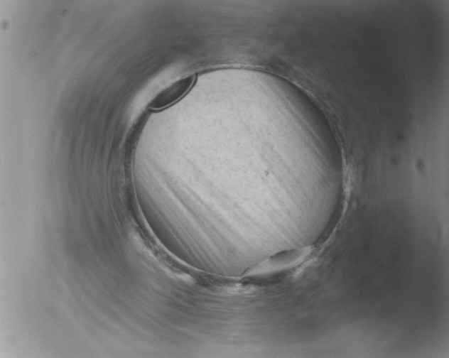 X0000051860198200507081831