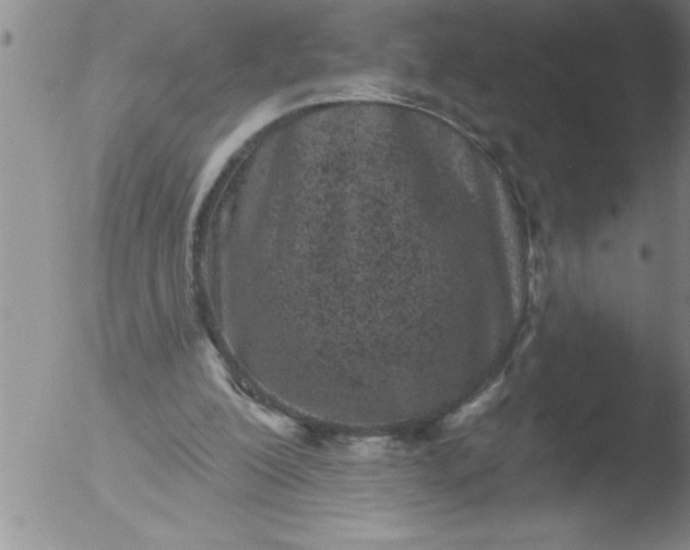 X0000051860200200507081831