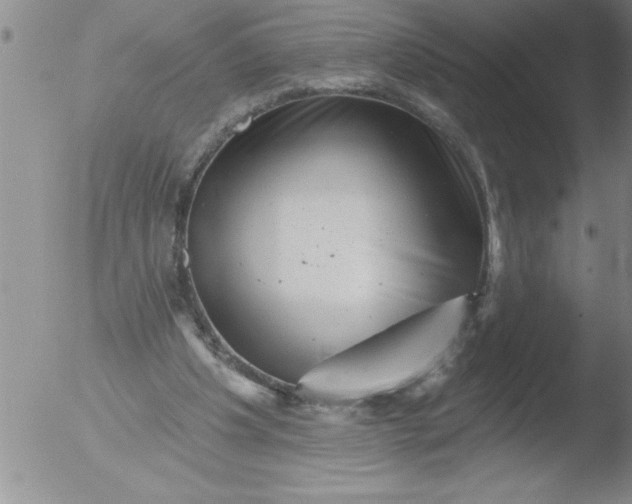 X0000051860201200507081831