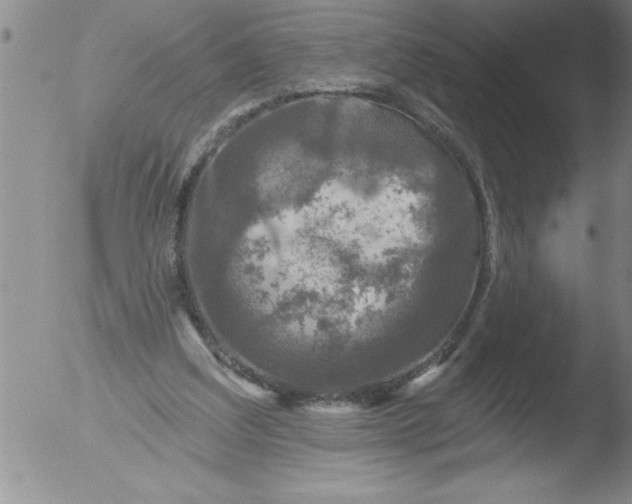 X0000051860203200507081831