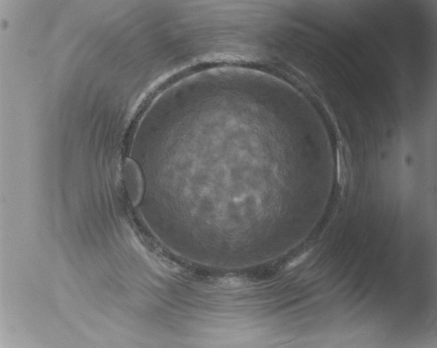 X0000051860204200507081831