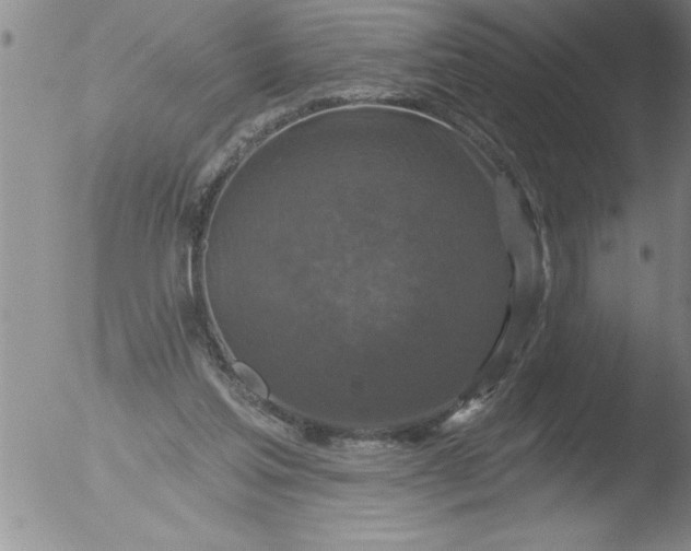 X0000051860205200507081831