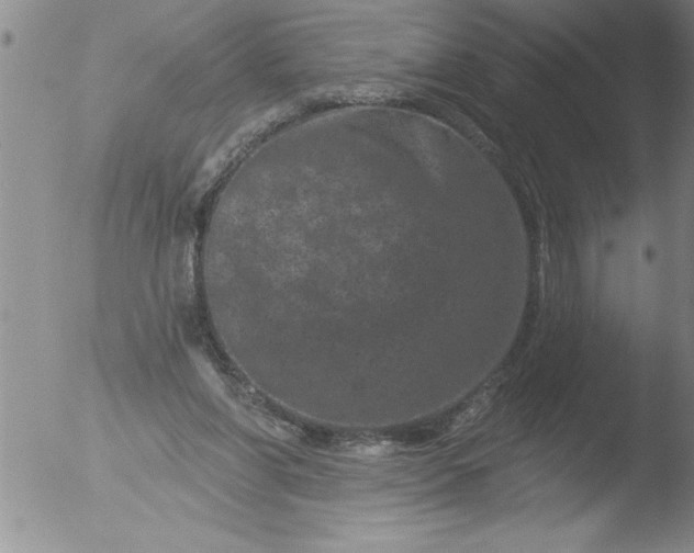 X0000051860206200507081831