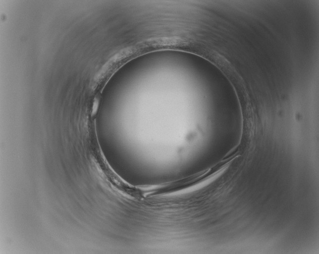 X0000051860207200507081831