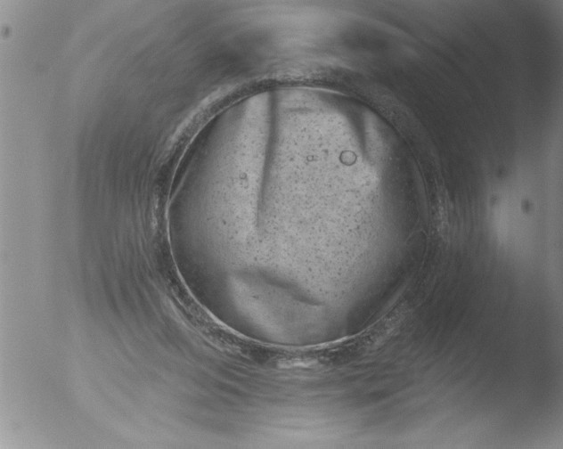 X0000051860208200507081831