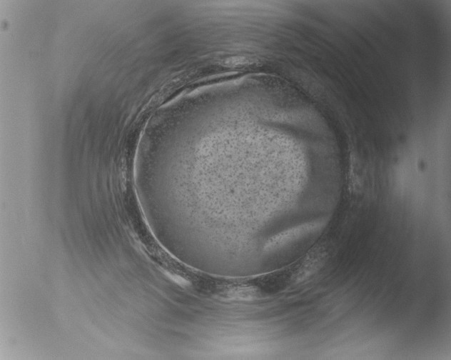 X0000051860210200507081831