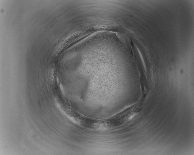 X0000051860211200507081831