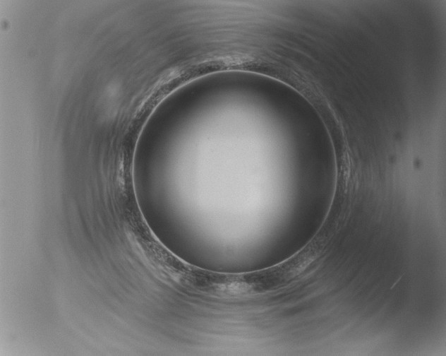 X0000051860212200507081831