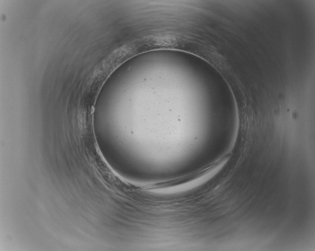 X0000051860213200507081831