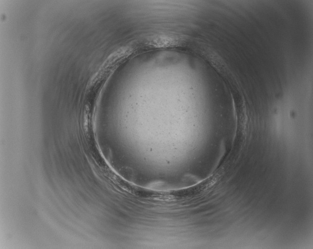 X0000051860214200507081831